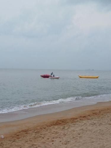 photo 6120402455377329519 y