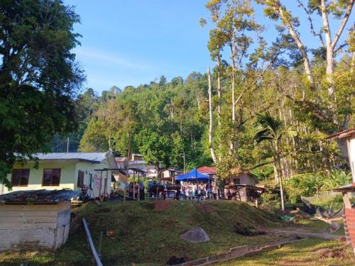 photo 6310019184117005823 y