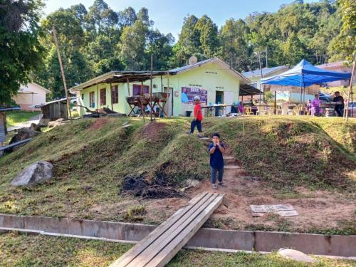 photo 6310019184117005847 y