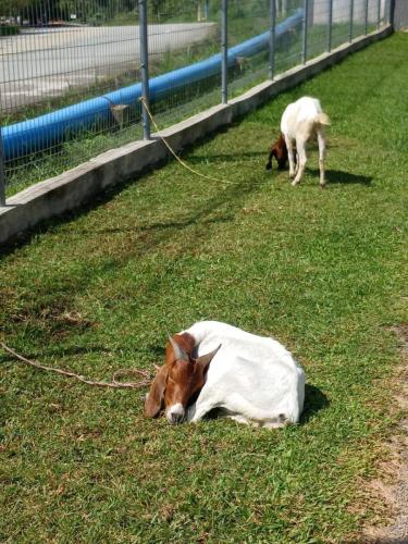 photo 6310019184117005856 y