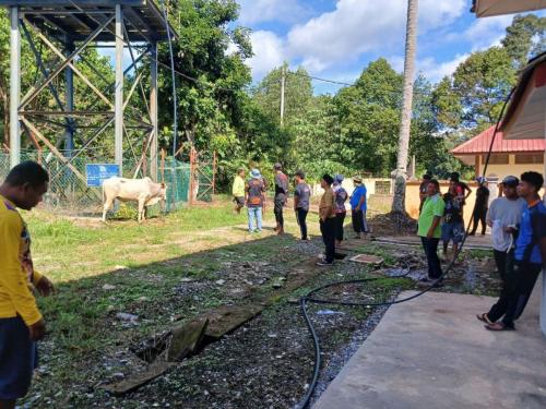 photo 6310019184117005860 y