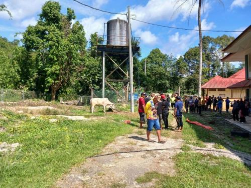 photo 6310019184117005861 y