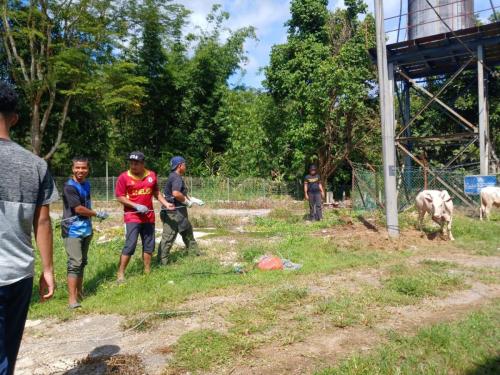 photo 6310019184117005863 y