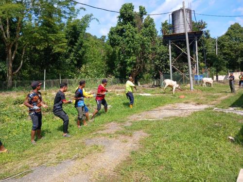 photo 6310019184117005864 y