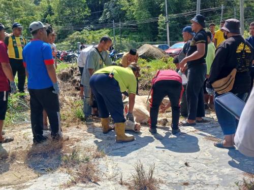 photo 6310019184117005867 y