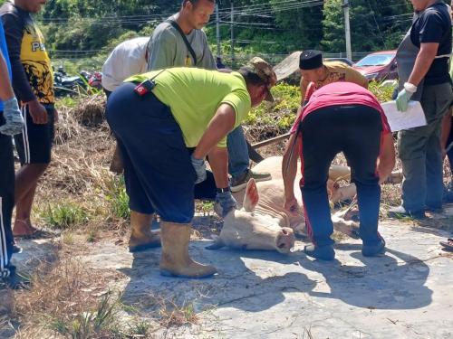 photo 6310019184117005868 y