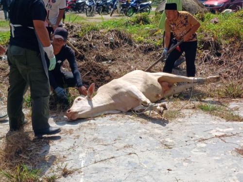 photo 6310019184117005871 y