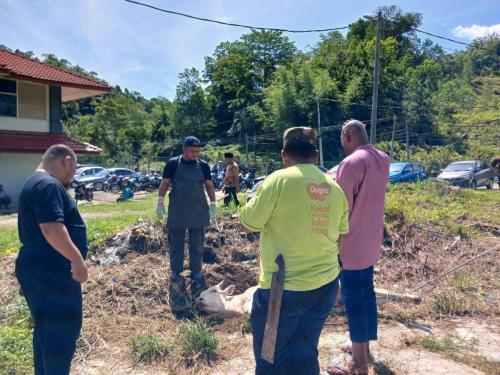 photo 6310019184117005872 y