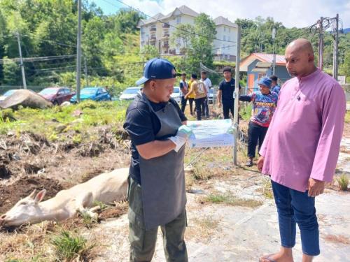 photo 6310019184117005879 y