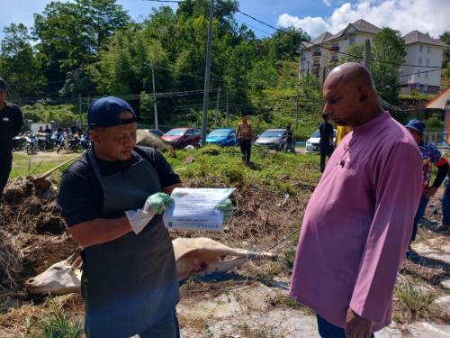 photo 6310019184117005880 y